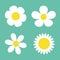 Camomile set. Four white daisy chamomile icon. Cute round flower plant collection. Love card symbol. Growing concept. Flat design.