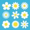 Camomile set. White daisy chamomile icon. Cute round flower plant collection. Love card symbol. Growing concept. Flat design. Blue