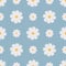 Camomiles. Delicate white flowers. Repeating vector pattern. Isolated blue background. White daisies. Seamless summer ornament.