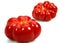 Camone Tomatoes, solanum lycopersicum, Vegetable against White Background