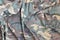 Camouflage background texture as backdrop for paintball and airsoft strikeball design projects