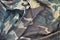 Camouflage background texture as backdrop for paintball and airsoft strikeball design projects