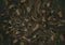 Camouflage cloth texture. Abstract background and texture for design