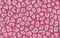 Camouflage leopard pattern pink background and white spots furry elegant print