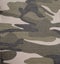 Camouflage-military texture