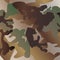 Camouflage pattern background clothing print, repeatable camo g