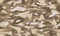 Camouflage pattern. Brown sand seamless texture, vector illustration. Triangular Ñamo print background.