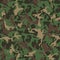 Camouflage pattern. Green military uniform. Camo texture