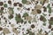 Camouflage pattern made of paint stains and splatters