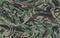 Camouflage seamless pattern. Camo background. Military print for design  wallpaper  textile. Vector