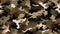 Camouflage seamless pattern Military texture 2