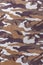 Camouflage seamless pattern,woodland style background