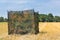 Camouflage tent in dutch grain field