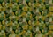 Camouflage texture color forest army good