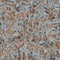 Camouflage Warm AW2223 02 - seamless camo repeat pattern series - vectors