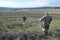 Camouflaged coyote hunters in southwest Wyoming