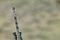 Camouflaged hunting rifle barrel gun tip