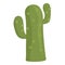 Camp cactus icon cartoon vector. Africa desert