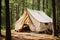 Camp nature travel vacation landscape summer adventure holiday tent forest outdoors trip