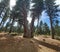 Camp richardson,south Lake Tahoe trail