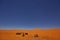 Camp in Sahara Desert in night with moon as star