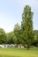 Camp site under green trees