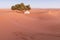 Camp with tent in the desert among sandy dunes. Sunny day in the Sahara during a sand storm in Morocco