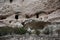 Camp Verde, Arizona, USA: Detail of the Montezuma Castle National Monument