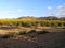 Campaign citrus field in spain