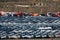 Campana River, Zarate, Argentina - 22 August 2018: Plenty of different wheel cars waiting loading on Ro-Ro vessel in a port.