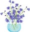 Campanula bell flowers in glass vase.