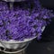 Campanula get mee\'