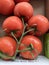 Campari tomato, Tomato on the Vine, Solanum lycopersicum