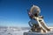 Campbell-Stokes sunshine recorder near meteorological station