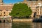 Campbells Cove wharf and pier with beautiful green tree