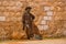 CAMPECHE, MEXICO: Bronze statue fisherman on the city wall of San Francisco de Campeche