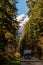 Camper at Baker Lake Road, surrounded by trees and snow-capped Baker Mountain in the background at North Cascades,