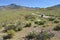 Camper car on the lonely road surrounded by beautiful blooming spring californian nature