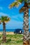 Camper, mobile home or caravan vacation, free parking of beach with palm trees and blue sea