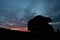 Camper recreational vehicles at sunset. Camping in nature. Holidays and travel in camper van