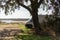 Camper van on an Alentejo dam landscape with the lake behind and under the shade of a tree, in Portugal