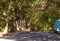 Camper van parked in the shade of trees along the mountain road