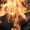 Campfire with blazing fire flames, burnt firewoods and smoke closeup