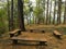 Campfire,Bonfire,Wooden bench in the forest, camping.