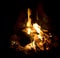 Campfire burning fire ash flames and coals closeup