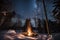 campfire crackling in snowy forest, with view of the night sky visible above