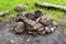 Campfire fireplace fire hole pit made of stones nature