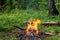 Campfire flame in the forest during a hike