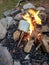 Campfire marshmallow smores