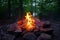 Campfire at night in the Adirondack Mountains of Upstate New York.